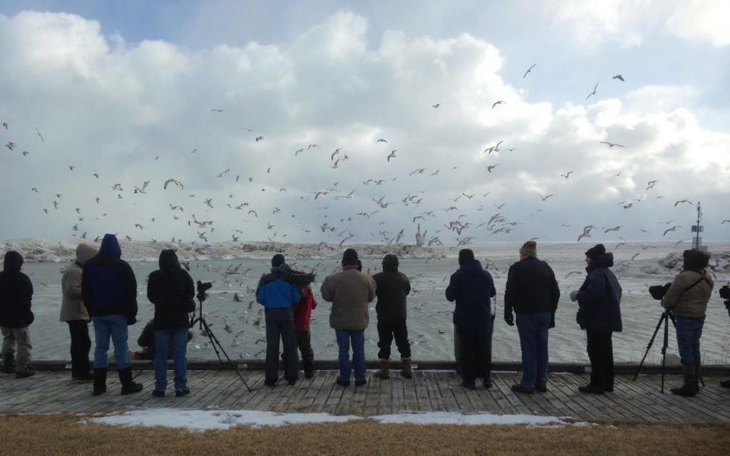 14875919_10207423324248855_1017198258_o