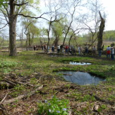 Lake Cook Audubon at Crabtree Nature Center