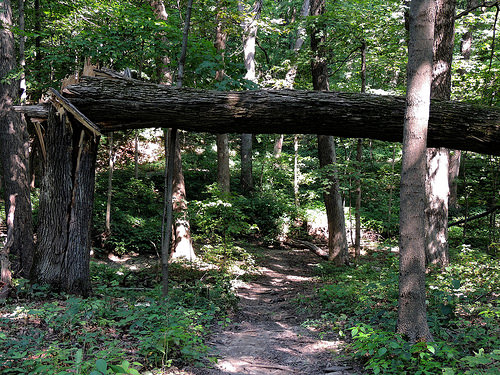 Picher Park. Photo courtesy of John W. Iwanski