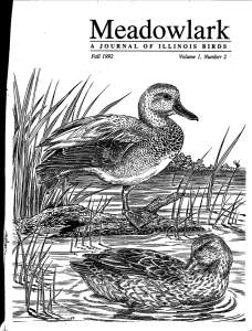 Screen Shot 2015-01-26 at 3.58.44 PM