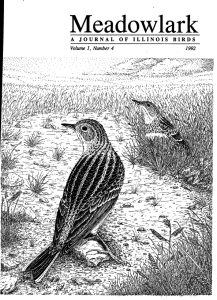 Screen Shot 2015-01-26 at 4.52.44 PM