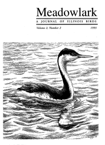 Screen Shot 2015-01-26 at 5.55.22 PM