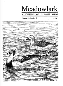 Screen Shot 2015-01-28 at 3.35.41 PM