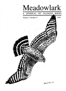 Screen Shot 2015-01-28 at 3.45.52 PM