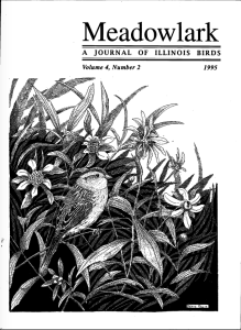 Screen Shot 2015-01-28 at 6.54.32 PM