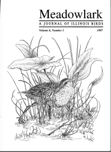 Screen Shot 2015-01-29 at 1.39.45 PM