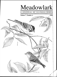 Screen Shot 2015-01-29 at 2.34.43 PM