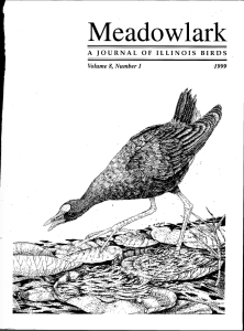 Screen Shot 2015-01-29 at 2.51.14 PM