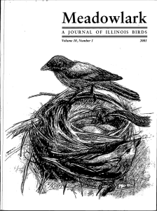 Screen Shot 2015-01-29 at 3.55.55 PM