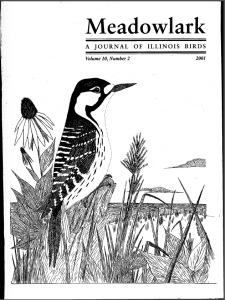 Screen Shot 2015-01-29 at 4.06.39 PM