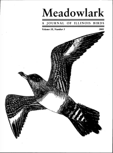 Screen Shot 2015-01-29 at 4.13.41 PM