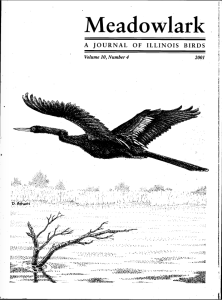 Screen Shot 2015-01-29 at 4.20.50 PM