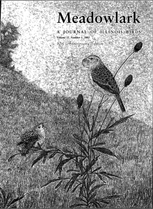 Screen Shot 2015-01-29 at 6.51.57 PM