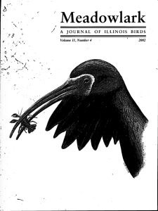 Screen Shot 2015-01-29 at 7.20.17 PM