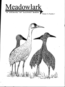 Screen Shot 2015-01-29 at 7.29.19 PM