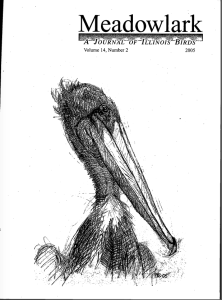 Screen Shot 2015-01-30 at 10.13.34 AM