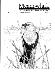 Screen Shot 2015-01-30 at 3.27.15 PM