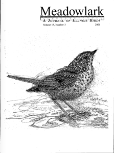 Screen Shot 2015-01-30 at 4.04.07 PM