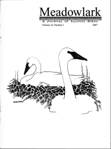 Screen Shot 2015-01-30 at 4.18.08 PM