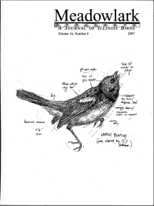 Screen Shot 2015-01-30 at 4.43.20 PM