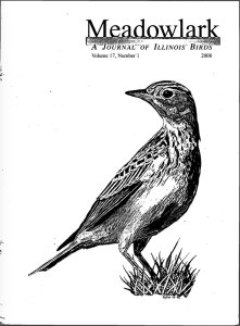 Screen Shot 2015-01-30 at 4.51.20 PM