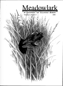 Screen Shot 2015-01-30 at 5.21.11 PM