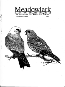 Screen Shot 2015-01-30 at 5.25.35 PM