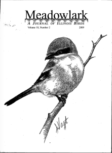 Screen Shot 2015-01-30 at 5.32.21 PM