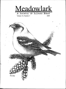 Screen Shot 2015-01-30 at 5.38.01 PM