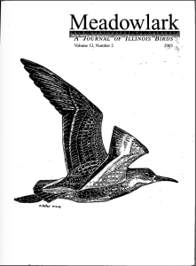 Screen Shot 2015-01-30 at 8.55.10 AM