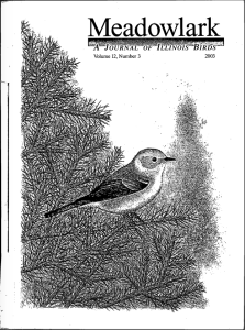 Screen Shot 2015-01-30 at 9.12.59 AM