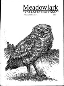 Screen Shot 2015-01-30 at 9.23.13 AM