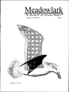 Screen Shot 2015-01-30 at 9.50.09 AM