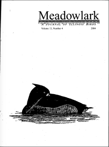 Screen Shot 2015-01-30 at 9.56.35 AM