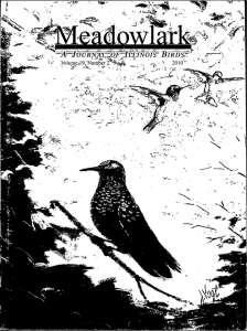 Screen Shot 2015-02-01 at 11.56.00 AM