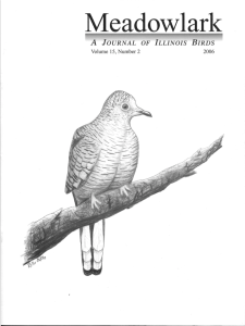 Screen Shot 2015-02-12 at 10.30.40 AM